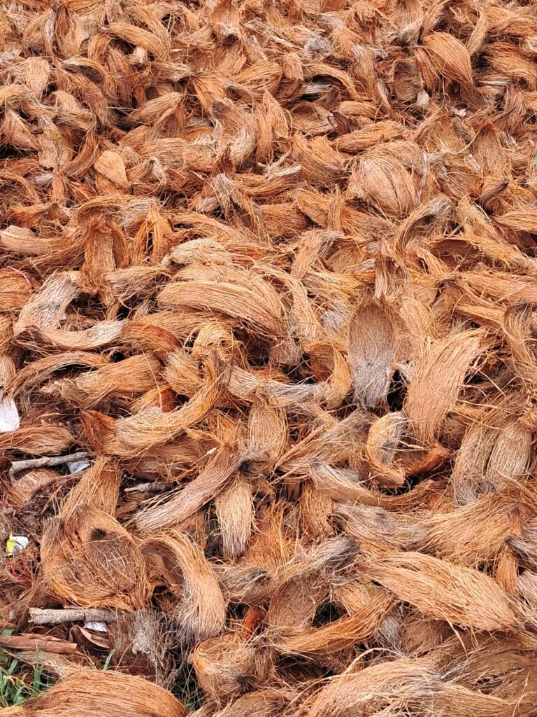 Close-up view of natural, rough coconut coir fibers in a textured pile.