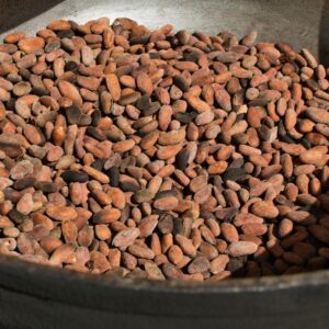 A large bowl filled with fresh cocoa beans, ready to be processed into chocolate products.